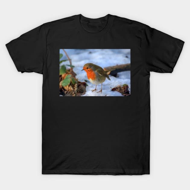 Little red robin in the snow at Christmas time T-Shirt by Itsgrimupnorth